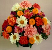 Mixed Flower Arrangements